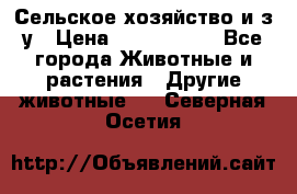 Сельское хозяйство и з/у › Цена ­ 2 500 000 - Все города Животные и растения » Другие животные   . Северная Осетия